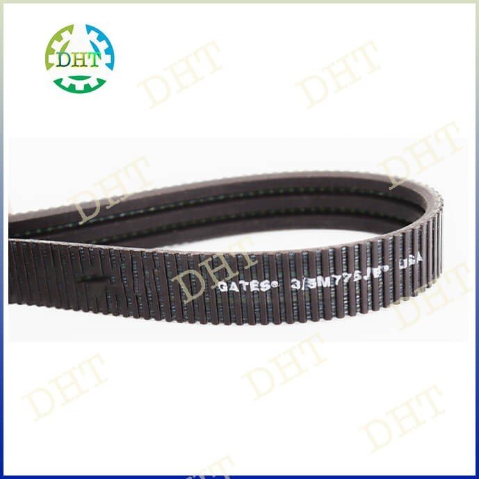 DÂY CUROA POLYFLEX USA 5M, 7M, 11M GATES