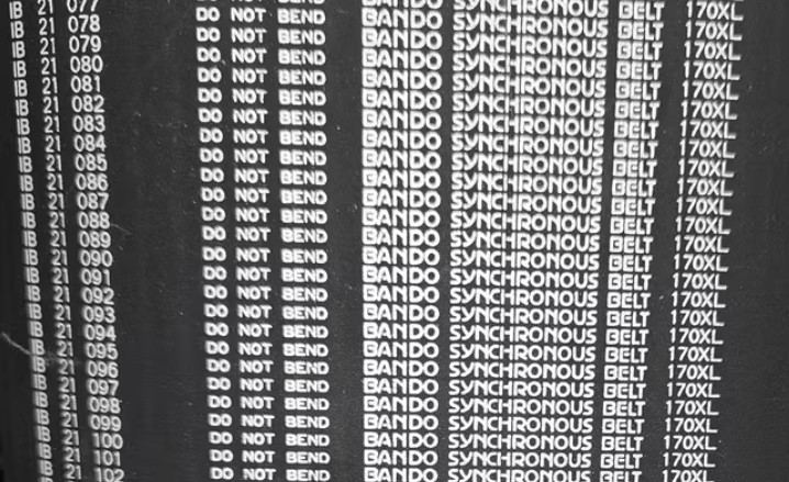 DÂY CUROA RĂNG XL- Dây Đai Răng XL