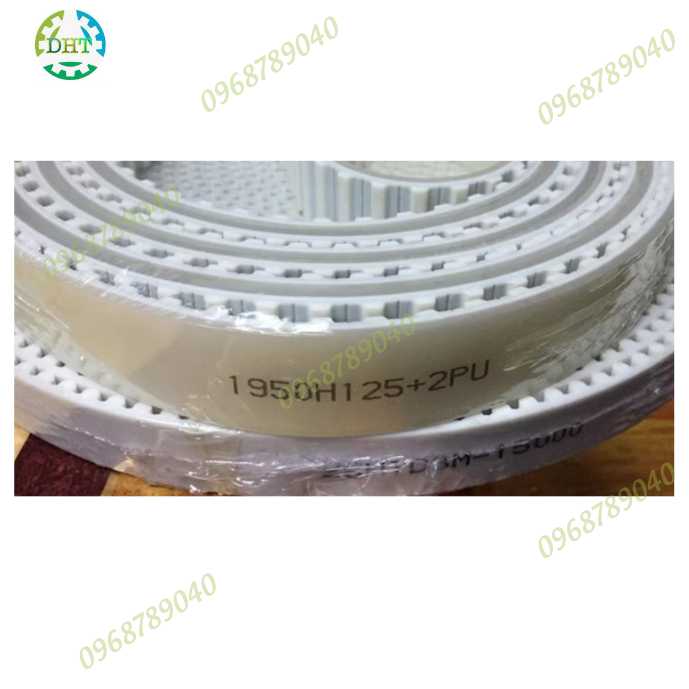 DÂY CUROA H LOẠI PU LÕI THÉP RĂNG