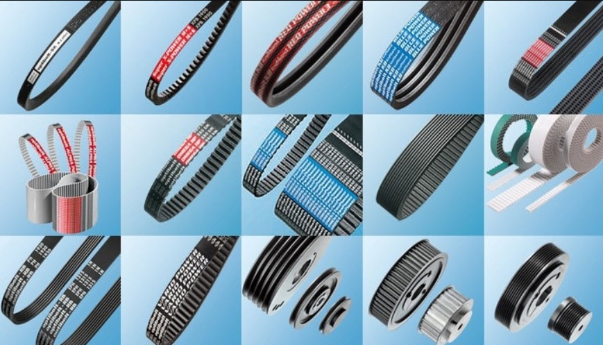 Dây Curoa Là Gì Và Các Cách Phân Loại Dây Curoa Thông Dụng, Cấu Tạo Của Dây Curoa