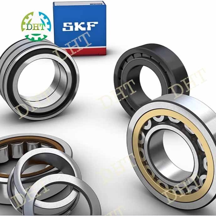 VÒNG BI ĐŨA ĐỠ SKF